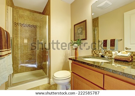Warm bathroom interior in light ivory tone with glass door shower and wooden cabinet with granite top