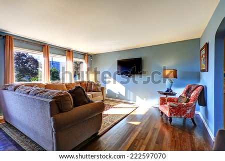 Light blue living room with comfortable sofa and tv