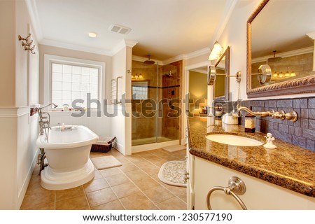 Luxury bathroom interior. Room has glass door shower, cabinet with granite top ans two sinks, mirrors and white bath tub