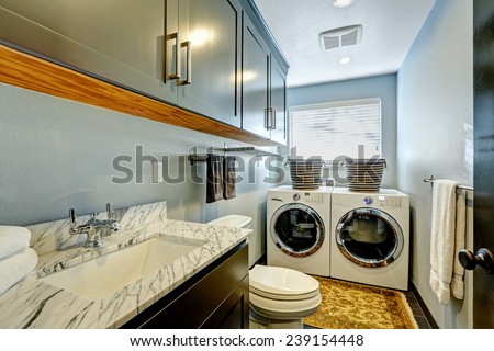 Ideal small bathroom with washer and dryer.