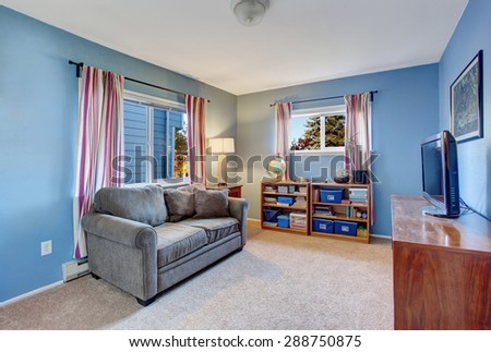 Secondary living room with blue walls and gray sofa.