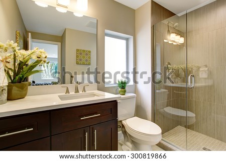 Nice bathroom with glass shower, and small plants as decor.