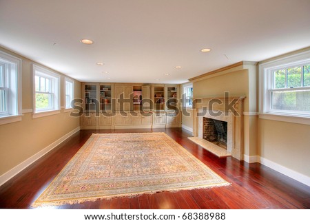 Luxury basement with upper windows, large old fire place and build-ins.