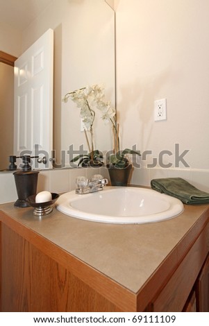 Bathroom with light walls and wood cabinet