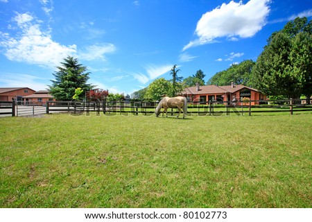 A horse ranch in Washington State, USA with horse standing along the wood fence and the house in the background.