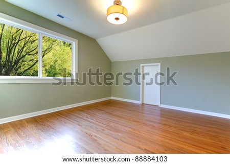 Empty new green room with nice hardwood floor