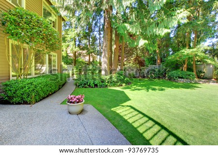 Large green back yard with pine trees.