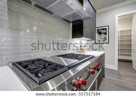 Modern gray kitchen features stainless steel stove with a hood paired with glossy gray linear tile backsplash. Northwest, USA