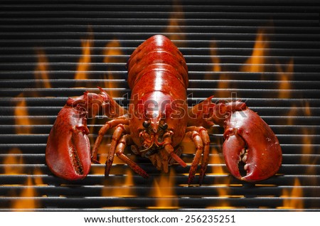A Delicious Red Lobster on a Hot Barbecue Grill