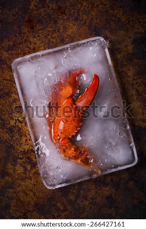 Lobster Claw Frozen in a Block of Ice
