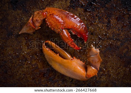 Lobster Claws on a Rustic Background