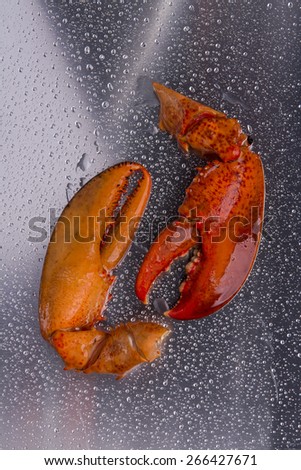 Lobster Claws on a Silver  Background with Water Drops