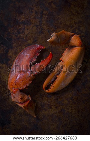 Lobster Claws on a Rustic Background