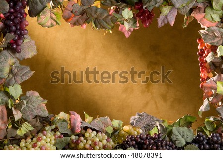 Art frame of grapes and vine