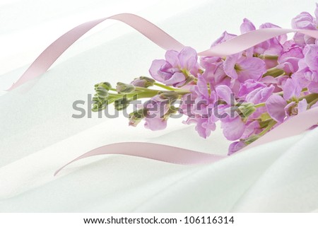 stock flower and ribbon on white cloth