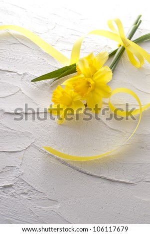 jonquil flower and ribbon on white wall