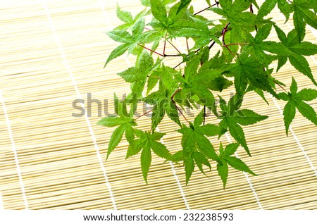green japanese maple on bamboo