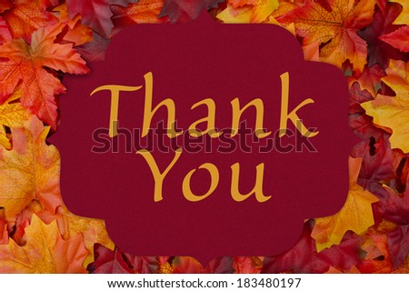 A thank you card, A red card with words thank you over red and orange maple leaf background