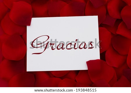 Thank You Note in Spanish Gracias, A white thank you card with a red rose pedal backgrounds
