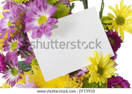 A colorful bunch of fresh spring flowers isolated on white background with blank note card to add your message