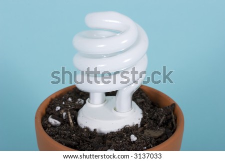 An energy efficient light bulb in a soil in a pot