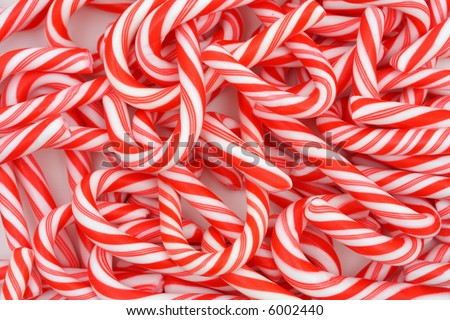 Puppies And Candy Canes. of mini candy canes