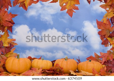 Fall Harvest border with sky background