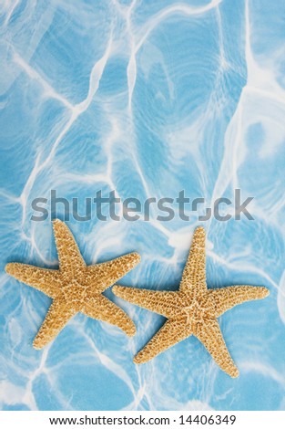 Starfish on a blue and white background