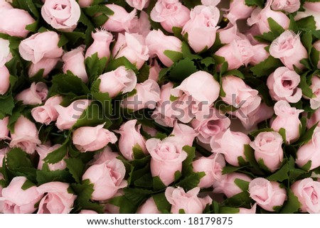 Large bouquet of pink roses with green leaves, bouquet of roses