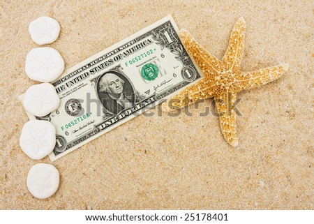 Sand dollars making a border with a dollar bill on sand background, sand dollar border