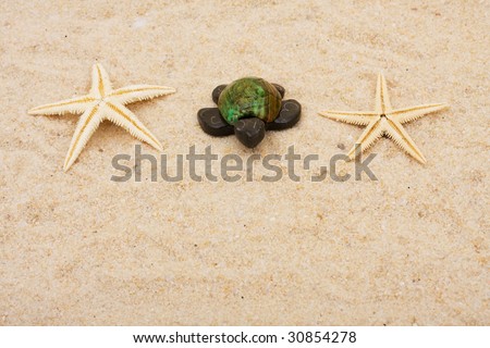 A brown turtles with starfishes sitting on a sand background, turtle
