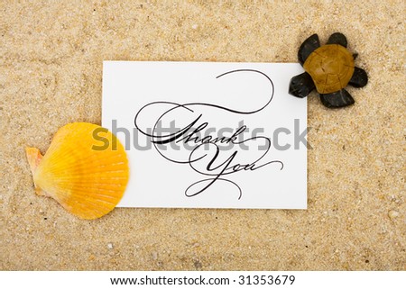 A shell and a turtle sitting on a thank you card with a sand background, turtle
