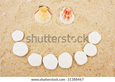 Shells and sand dollars making a happy face on sand, shell happy face