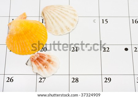 Three sea shells sitting on a calendar, vacation date