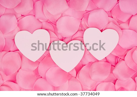 A three hearts sitting on a pink flower petal background, love heart
