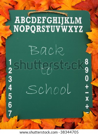 A green chalk board with the words welcome back on a fall leaf background, back to school