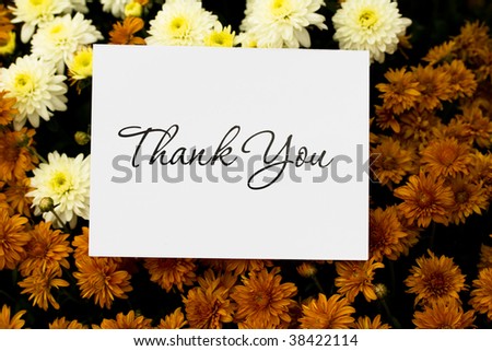 A close up of fall coloured mum flowers with a thank you card, thank you note