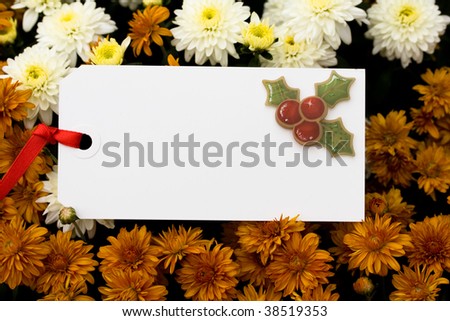 A close up of fall colored mum flowers with a blank gift tag, blank gift tag