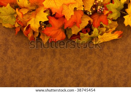 Fall coloured leaves making a border on a brown background, Fall Leaves