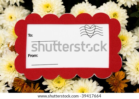 A close up of fall coloured mum flowers with a blank note, blank note