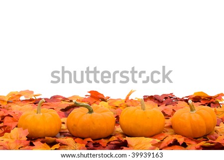 Fall coloured leaves with a pumpkin isolated on a white background