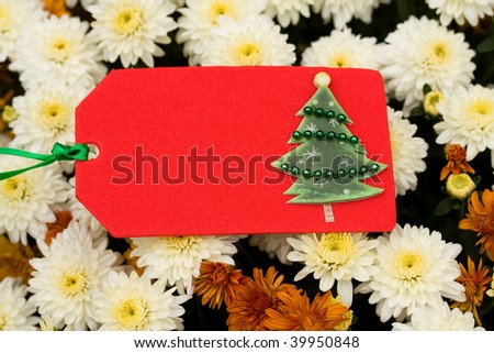 A close up of fall coloured mum flowers with a blank gift tag, blank gift tag
