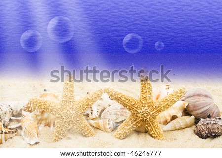 Lots seashells sitting in the sand underwater, underwater
