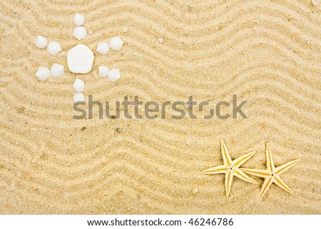 Seashells making a sun shape in the sand, sand and sun