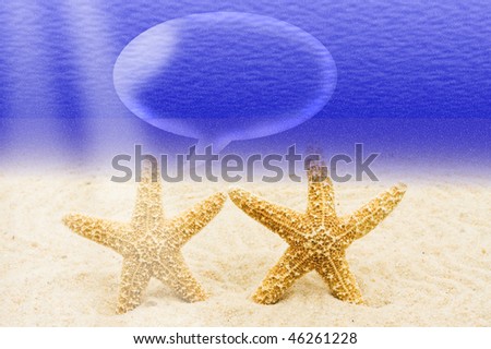 Two starfish sitting in the sand underwater, underwater