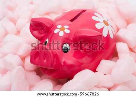 A  piggy bank being protected by tyrofoam packing material, Protecting your money