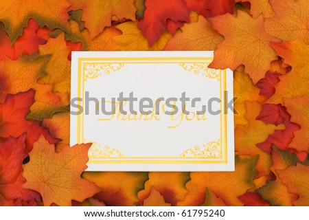 Fall Leaves with a gold thank you card, Thank you