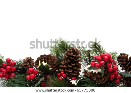 Pine cones and holly berries on bough with white background, winter  border