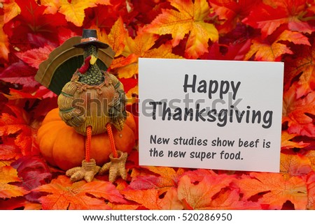 Funny Happy Thanksgiving  Greeting , Some fall leaves and a turkey sitting on a pumpkin and a greeting card with text Happy Thanksgiving and beef is a super food