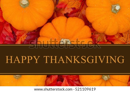 Happy Thanksgiving Greeting, Some pumpkins and fall leaves with text Happy Thanksgiving